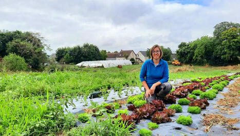 Maraîchage Bio et changement climatique, comment s’adapter ? | Attitude BIO | Scoop.it
