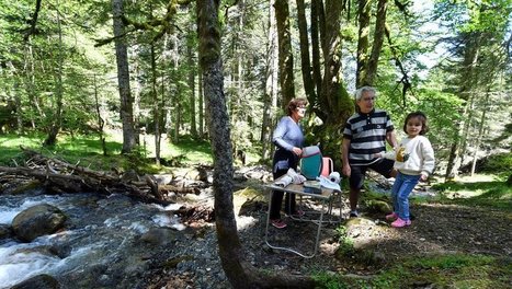 Limite des 100 km : moins de 10 verbalisations dans les Hautes-Pyrénées | Vallées d'Aure & Louron - Pyrénées | Scoop.it