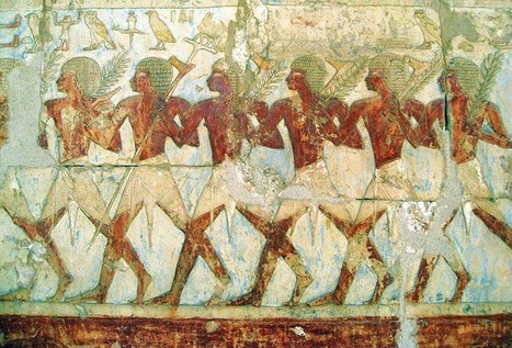 THE LAND OF PUNT | Education in a Multicultural Society | Scoop.it