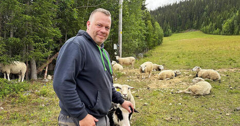 Betande f&aring;r h&aring;ller skidbacken i Kl&ouml;vsj&ouml; i trim &ndash; ers&auml;tter gr&auml;sklippare | A1Uutiset | Scoop.it