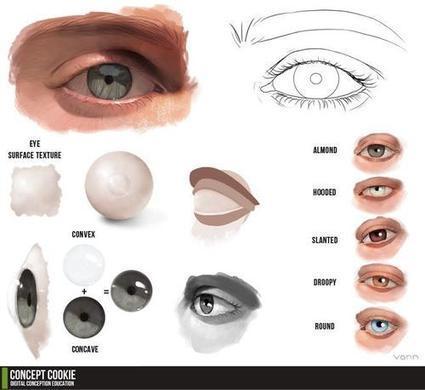 Eye Drawing Reference Guide | Drawing References and Resources | Scoop.it