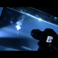 How To Turn a Fish Tank Into a Crazy Alien World | Strange days indeed... | Scoop.it