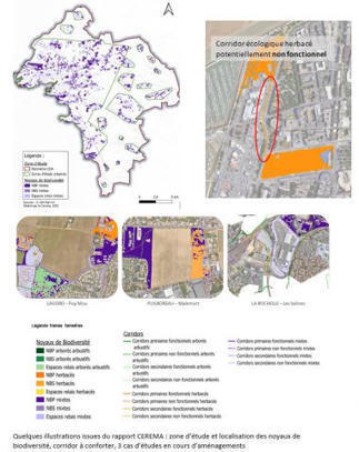 &Eacute;tude de la biodiversit&eacute; et de la fonctionnalit&eacute; des corridors &eacute;cologiques &agrave; la Rochelle | Regards crois&eacute;s sur la transition &eacute;cologique | Scoop.it