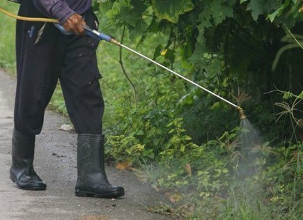 Le Danemark projette une taxe sur les pesticides | Plan&egrave;te, Nature et Biodiversit&eacute; | Scoop.it
