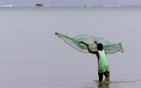 Vanuatu coastal fisheries under pressure after Cyclone Pam | Coastal Restoration | Scoop.it