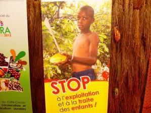 La faiblesse des prix du cacao risque d'aggraver l'esclavage moderne | Actualit&eacute;s Achats Responsables | Scoop.it