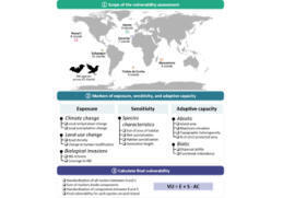 Etude de la vuln&eacute;rabilit&eacute; insulaire aux changements globaux : cas d&rsquo;&eacute;tude pour 6 archipels mondiaux&nbsp; | &Eacute;cosyst&egrave;mes Tropicaux | Scoop.it