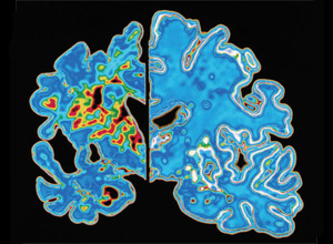 Scitable | Learn Science at Nature | 21st Century Tools for Teaching-People and Learners | Scoop.it