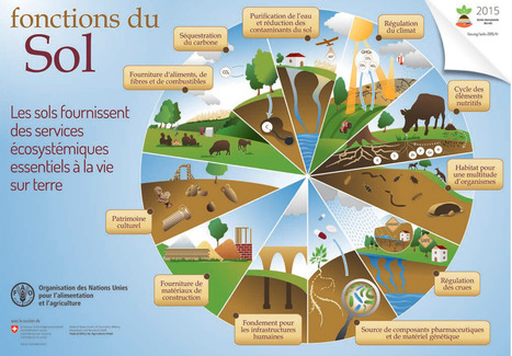 Sols en danger : réduire l’artificialisation | SCIENCES DU VEGETAL | Scoop.it