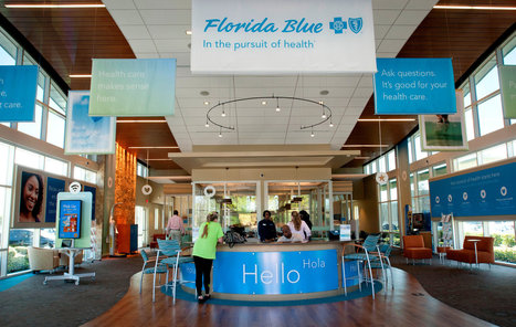 Florida Blue and Other Health Insurers Prepare for New Regulations | Doctor Data | Scoop.it