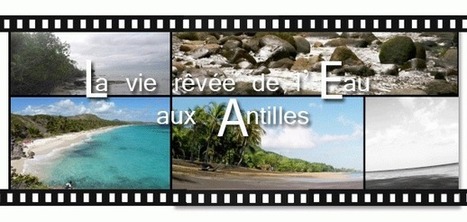 La vie rêvée de l’eau aux Antilles – préservation et biodiversité | Onema | Biodiversité | Scoop.it