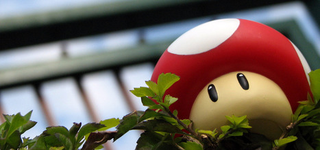 Fungus Discovered In The Amazon That Will Eat Plastic | Amazing Science | Scoop.it