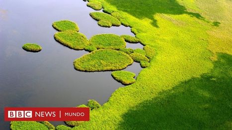 Cambio climático: el inesperado fenómeno hallado por los científicos que puede explicar el fuerte incremento de gas metano en la atmósfera | Ciencia-Física | Scoop.it