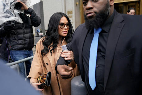 Jennifer Shah, &lsquo;Real Housewives&rsquo; Star, Sentenced in Fraud Scheme - The New York Times | Operation Deimos | Scoop.it