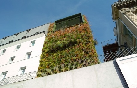 Paris: D&eacute;couvrez les 41 murs qui seront bient&ocirc;t v&eacute;g&eacute;talis&eacute;s pr&egrave;s de ... - 20minutes.fr | Nature en ville | Scoop.it