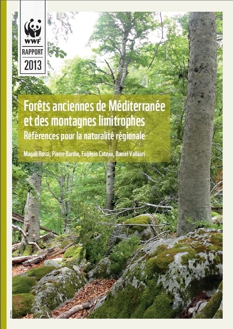 Forêts Anciennes de Méditerranée et des montagnes limitrophes | ECOLOGIE - ENVIRONNEMENT | Scoop.it