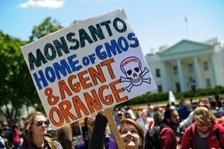Etats-Unis : des super-OGM pour doper les ventes des herbicides | Questions de développement ... | Scoop.it
