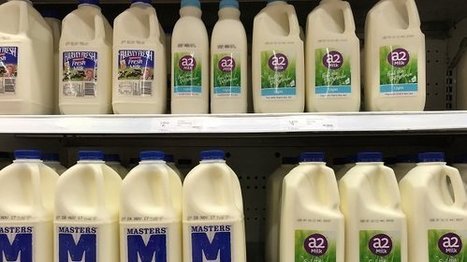 Digestion des produits laitiers : Quelle est la différence entre le lait A2 et le lait ordinaire ? | Lait de Normandie... et d'ailleurs | Scoop.it