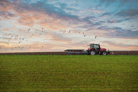 Comment le gouvernement espère déminer la tension des agriculteurs | Veille juridique du CDG13 | Scoop.it