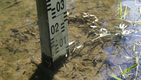 Sécheresse : situation d’alerte pour plusieurs cours d'eau en Alsace - ici | Alsace Actu | Scoop.it