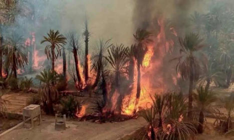 Le ministère de l'Agriculture adopte une approche proactive contre les incendies des oasis - www.lopinion.ma | Gestion Durable des Ressources | Scoop.it