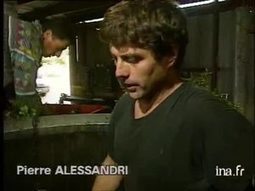 [vidéo] Transformation des plantes en huiles essentielles - Huiles essentielles corses avec Pierre Alessandri, 1992 | La Cabane aux Arômes | Scoop.it