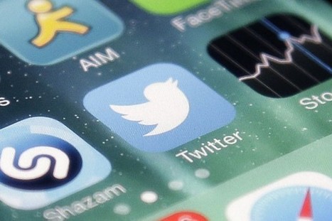 Les usagers de Twitter plus diplômés que ceux des autres réseaux sociaux | Co-creation in health | Scoop.it