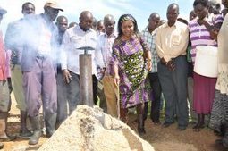 KENYA: Rice Farmers Reap Big with Water-saving Technology - Jomo Kenyatta University of Agriculture and Technology | SRI Global News ++ March - May 2025    System of Rice Intensification (SRI) | Scoop.it