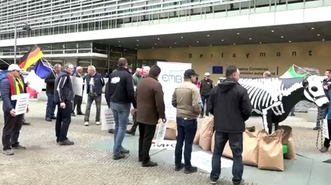 EMB : Les producteurs de lait manifestent devant le Parlement européen | Lait de Normandie... et d'ailleurs | Scoop.it