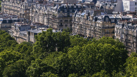 Le recul de l'actvité touristique à Paris incite de nombreux propriétaires à délaisser Airbnb pour réintégrer le marché de l'immobilier classique | (Macro)Tendances Tourisme & Travel | Scoop.it