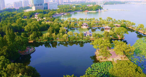 Ville &eacute;ponge: la v&eacute;g&eacute;talisation urbaine pour r&eacute;duire le risque d'inondation et augmenter la biodiversit&eacute; | G&eacute;o | La SELECTION du Web | CAUE des Vosges - www.caue88.com | Scoop.it