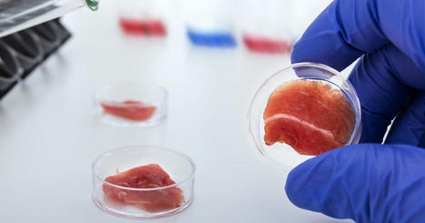 FOOD TECH : The synthetic meat may not be the answer to agriculture's climate woes  | INNOVATIONS | Scoop.it