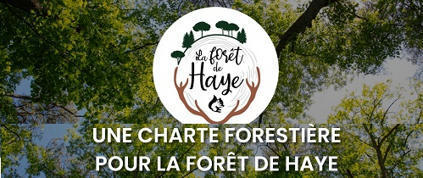 Charte forestière pour le massif de Haye - Participation citoyenne : une démarche métropolitaine | Forêt, Bois, Milieux naturels : Interactions Enseignement supérieur - Organisations - Recherche | Scoop.it