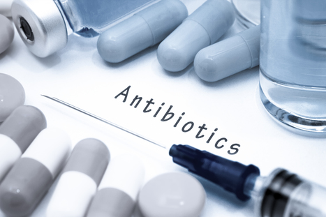 WHO Director-General briefs UN on antimicrobial resistance