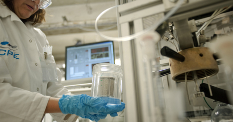PFAS&nbsp;: un projet europ&eacute;en d&eacute;marre pour d&eacute;velopper un r&eacute;acteur de traitement des eaux | Environnement - D&eacute;veloppement durable - Climat | Scoop.it
