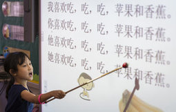 Nation&rsquo;s first Arabic dual-language school to open in Houston | Dual Language Education in the U.S. | Scoop.it