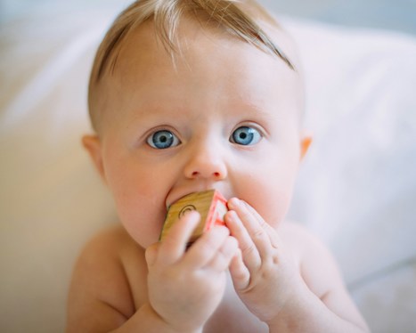 1re édition du Prix du livre pour les bébés : le ministère de la Culture dévoile la composition du jury et les ouvrages retenus dans la sélection  | L'actualité des bibliothèques | Scoop.it