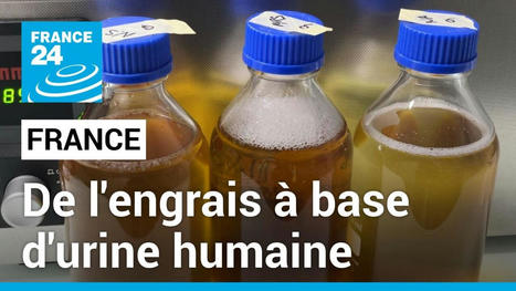 AG-TECH : Recycler l’urine humaine pour l’agriculture, le pari d’une start-up française | INNOVATIONS | Scoop.it