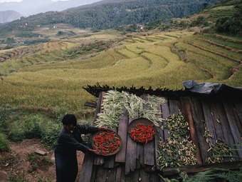 Bhutan Bets Organic Agriculture Is The Road To Happiness : NPR | real utopias | Scoop.it