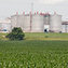 After Three Decades, Federal Tax Credit for Ethanol Expires | CORPORATE SOCIAL RESPONSIBILITY – | Scoop.it