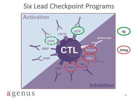 Lymphocyte activation gene-3 (LAG-3, CD223) in plasmacytoid dendritic cells (pDCs): a molecular target for the restoration of active anti-tumor immunity | Immunology and Biotherapies | Scoop.it