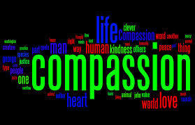 Compassion Definition | Healing Practices | Scoop.it