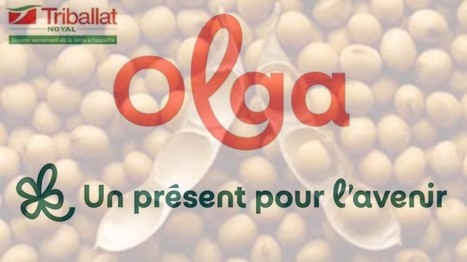 Le groupe agroalimentaire breton Olga annonce le « recentrage » de ses activités | Lait de Normandie... et d'ailleurs | Scoop.it