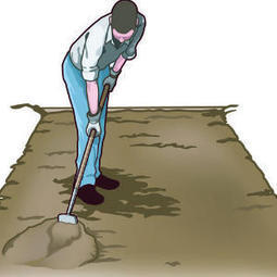 Let the sun clean your soil | Gardening Life | Scoop.it
