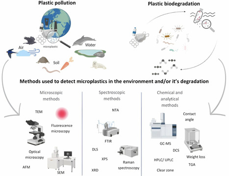Current Approaches to Microplastics Detection and Plastic Biodegradation | mdpi | RMH | Scoop.it