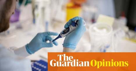 We must use the Covid crisis to reshape our society and economy | Mohamed El-Erian | Business | The Guardian | International Economics: IB Economics | Scoop.it