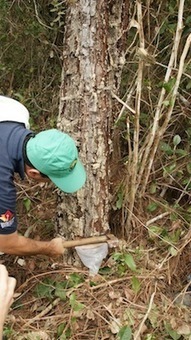 Colombia - Building Their Own Clean Energy Future - EarthTechling | Peer2Politics | Scoop.it
