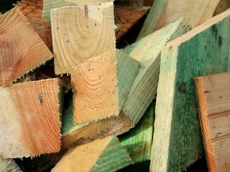 Comment le bois-énergie se positionne sur la relance économique et le bas-carbone | Paysage - Environnement | Scoop.it