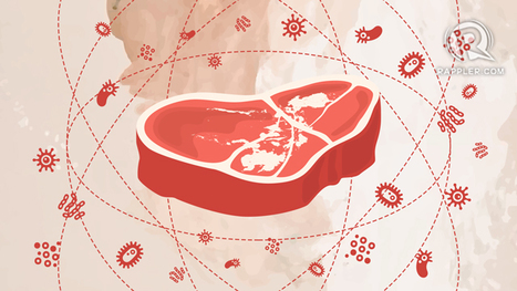 The animal industry can be the next pandemic ground zero | ALIMENTATIONS | Scoop.it