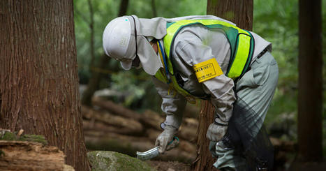 Fukushima : dix ans après la catastrophe nucléaire, les risques demeurent | Environnement et technique | Scoop.it